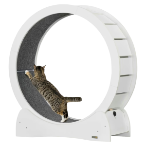 cat wheel